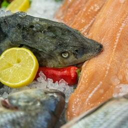 На Seafood Expo Russia традиционно было разнообразие морской и речной рыбы