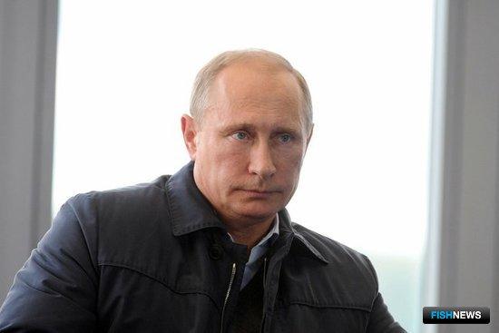 Президент РФ Владимир ПУТИН. Фото пресс-службы Кремля