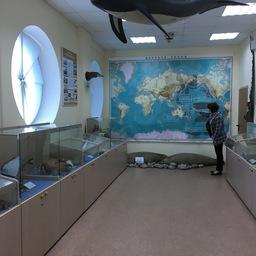 В зале южных морей музея представлена история рыбохозяйственной науки 1968 – 1984 гг., когда российские суда начали активно осваивать эти районы, спускаясь до Антарктиды