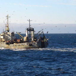О состоянии российского рыбопромыслового флота и промыслового судостроения